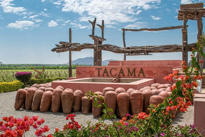 Paracas, Ica, and Premium Wine Tasting at Hacienda Tacama