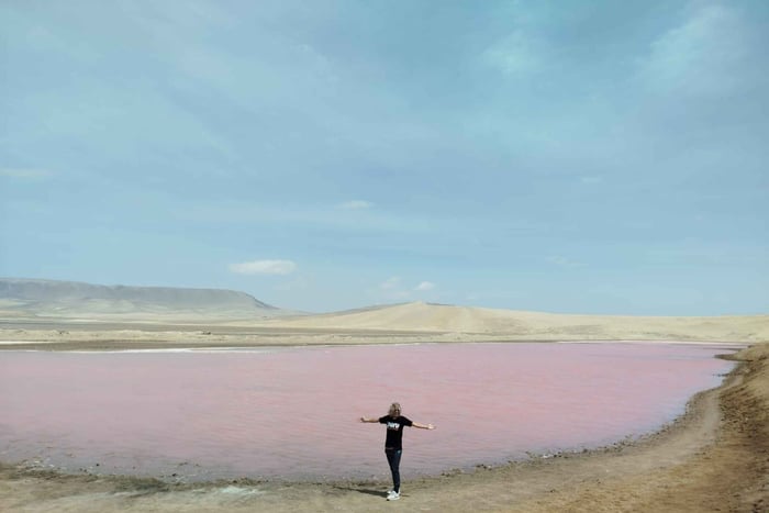 Paracas: Paracas National Reserve Half Day Tour
