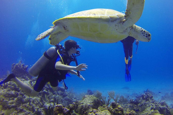 Paracas: Scuba Diving - Dive Discovery