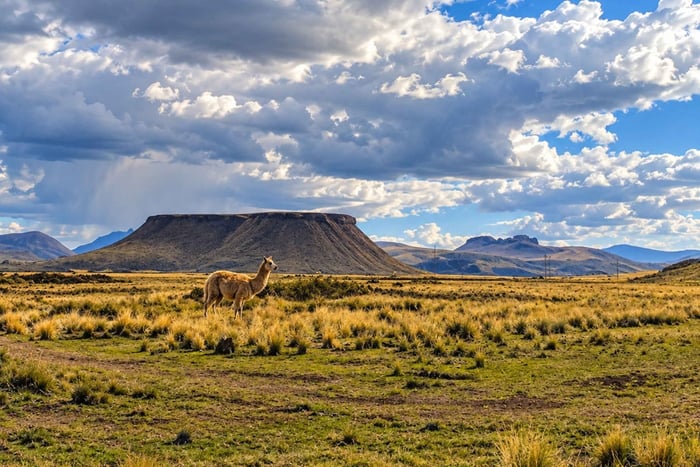 Puno: Cutimbo Chullpas and Cave Paintings | Half Day