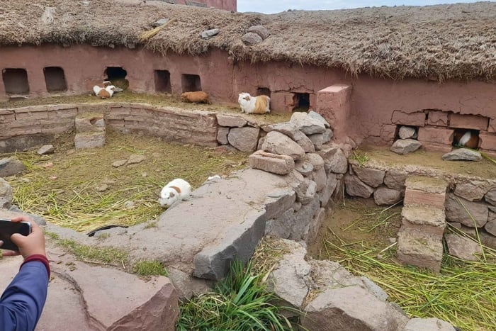 Puno: Sillustani Chullpas Guided Tour