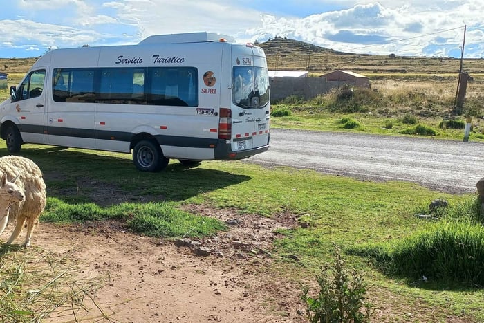 Puno: Trasporto da Puno all'aeroporto con servizio privato