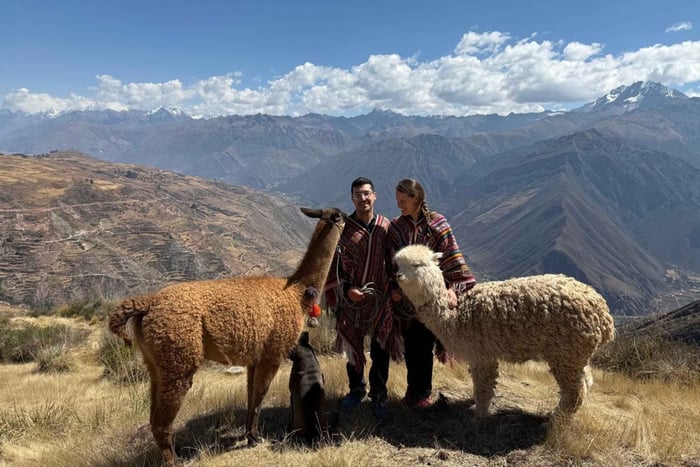Cusco, Perù: passeggiata con gli alpaca