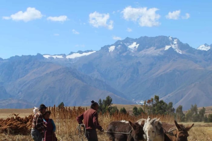 Sacred Valley Tour from Ollantaytambo (Mountain View Lunch)
