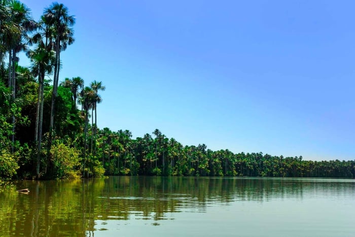 Tambopata: Trekking, Canoeing and Wildlife on Lake Sandoval