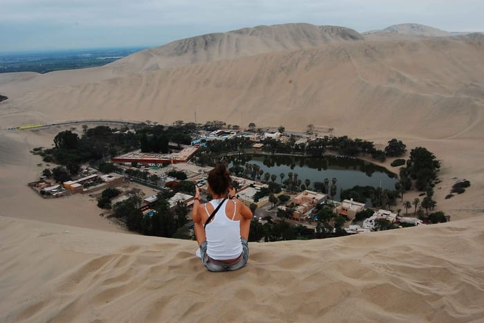 Ballestas Islands and Huacachina Oasis Half-Day Tour