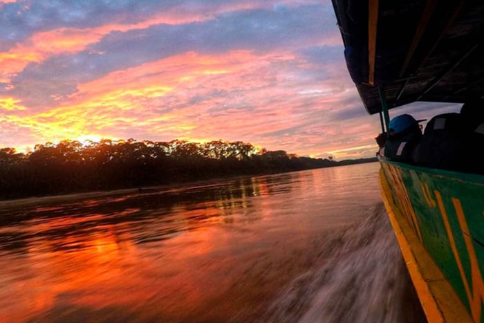From Iquitos: 2-Day, 1-Night Jungle Excursion