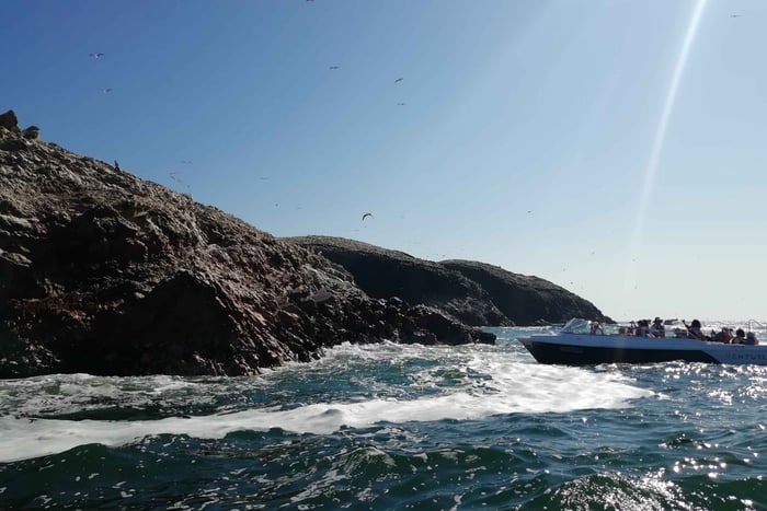 From Lima: Ballestas Islands, Winery & Huacachina Oasis Tour