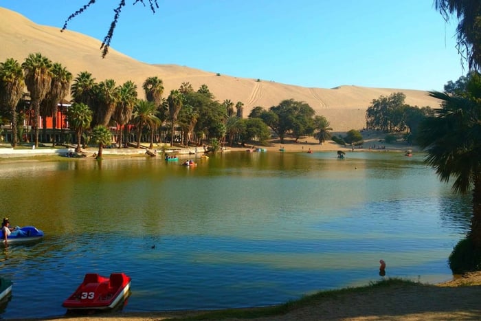 From Lima: Ica Winery and Huacachina Oasis Tour