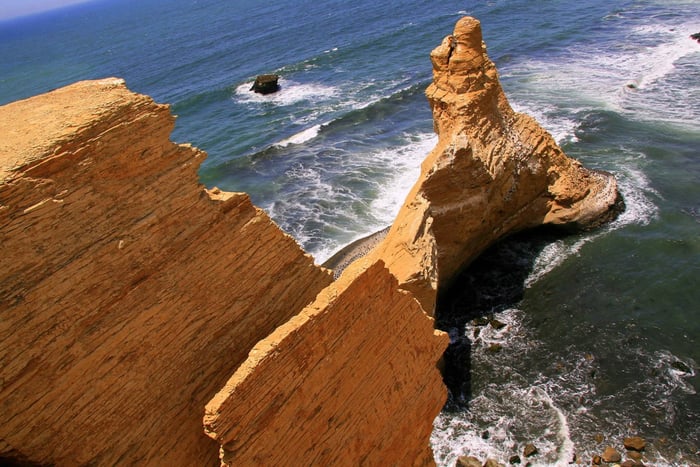 From San Martin Port: 3-Hour Paracas Reserve Tour
