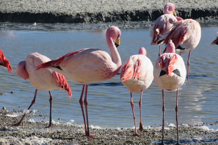 La Paz: 6-Day Private Best-of-Bolivia Tour with Flights