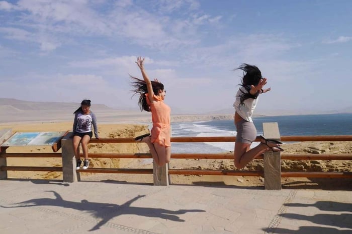 Paracas National Reserve Tour