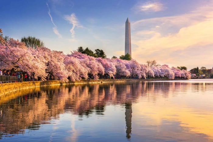 NYC: Tour di 5 giorni alle Cascate del Niagara, Toronto, Philadelphia e Washington