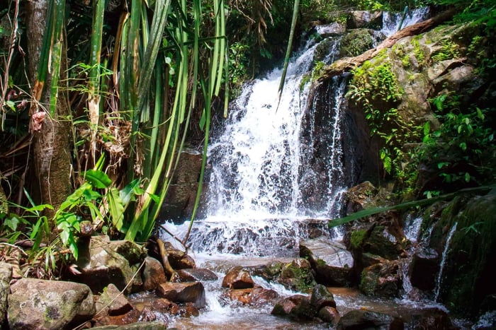 A Jungle-to-Sea Kayaking & Trekking Adventure in Phuket
