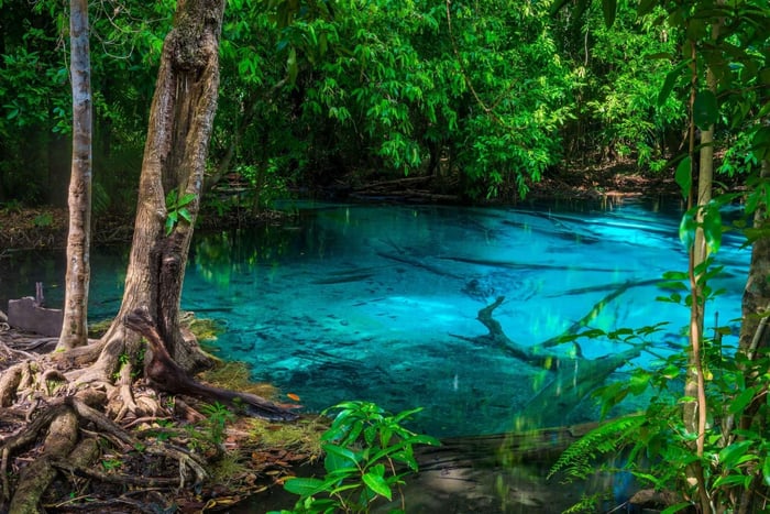Emerald & Blue Pool, Hot Springs & Tiger Cave Krabi