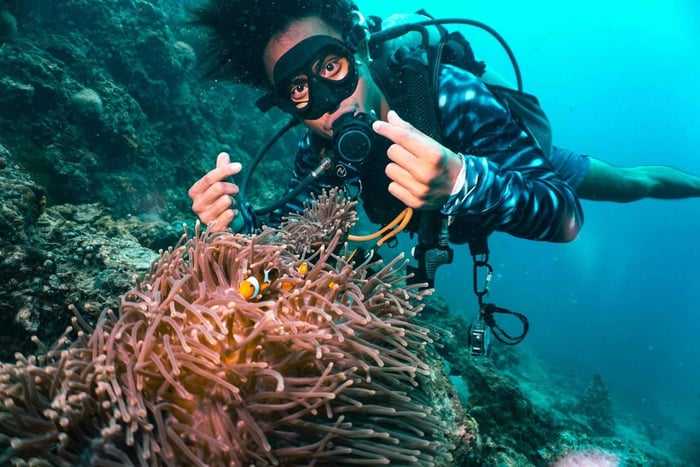 Desde Phi Phi: Excursión de un día de buceo para principiantes con 2 inmersiones