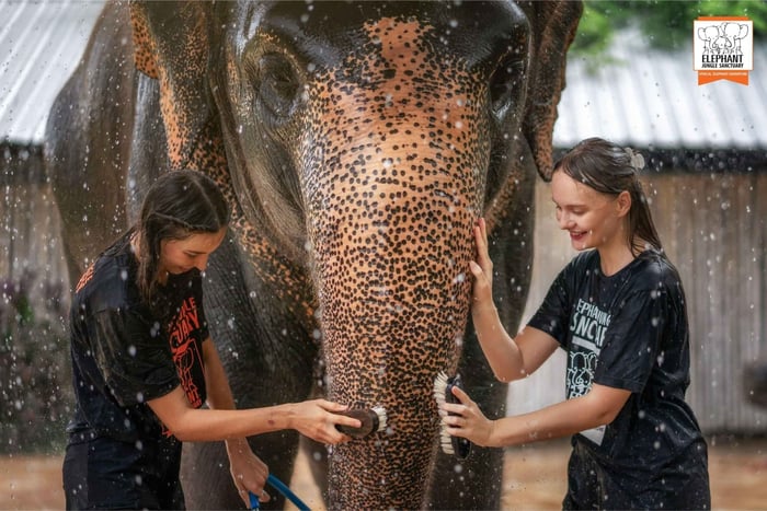 De Phuket: Passeio para alimentação e banho no santuário de elefantes na selva