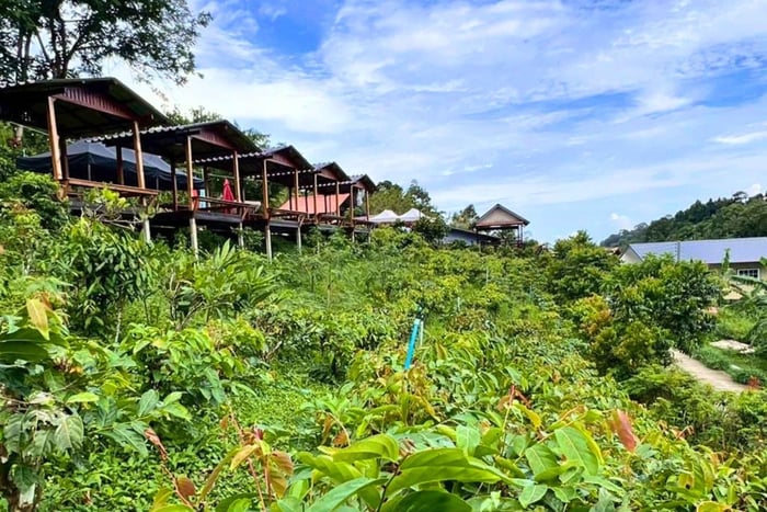tour por una granja ecológica y sabores locales