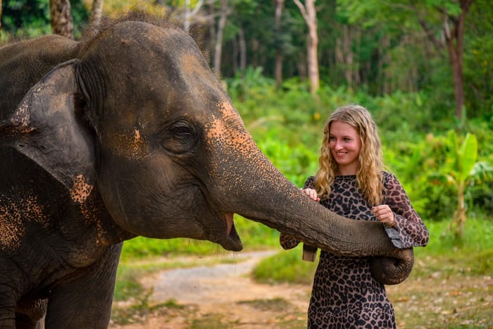 Phuket: Make & Meet The Gentle Giant Experience