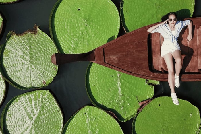 Phuket: Private & All-Inclusive Giant Water Lilies Tour