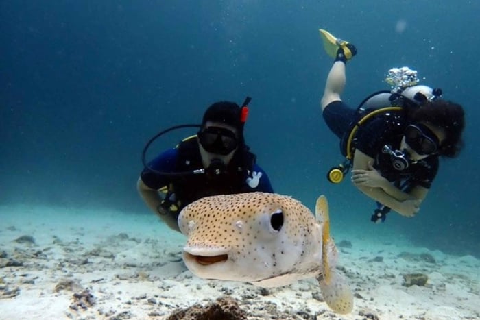 Scuba Diving Refresher(3 dives)