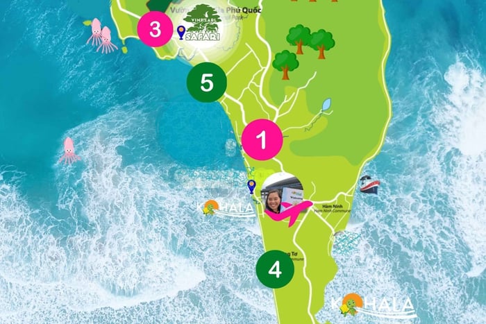 1 WAY OR ROUNDTRIP TRANSFER WITH CAR & DRIVER