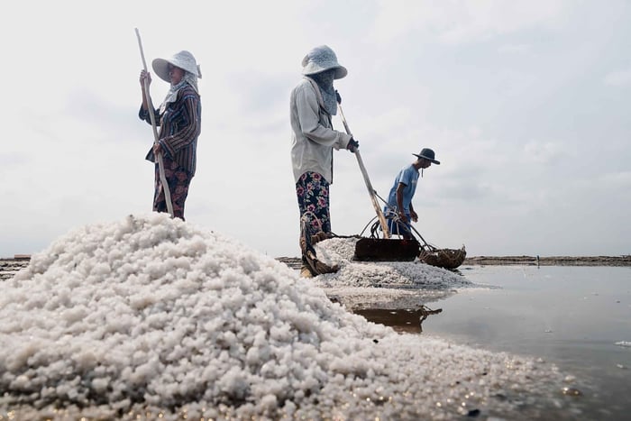 Kampot : Visite des champs de sel, de la ferme de poivre et du lac secret