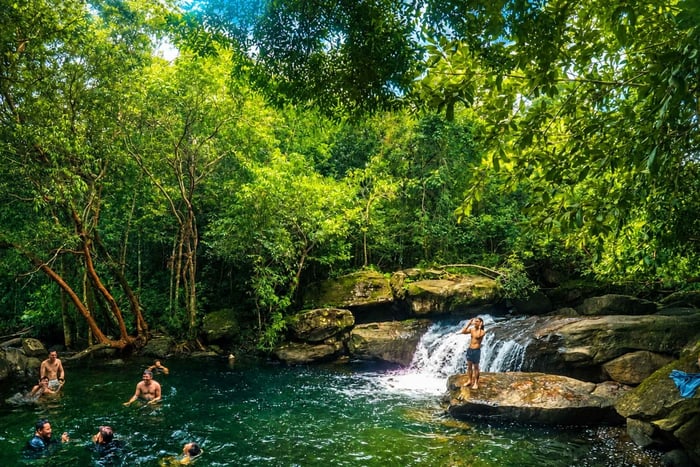 Vandring på Utforska nationalparken Fairy Stream (max 10 personer)