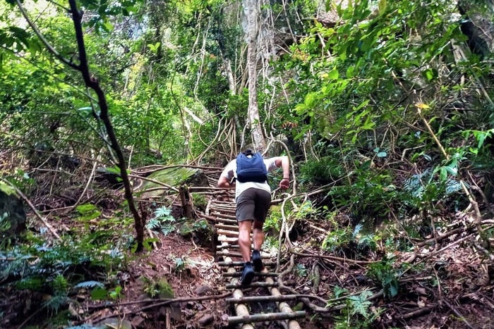 Phu Quoc Jungle Trek: Tranh Stream to Tien Son Peak