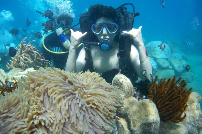 Red River Tour - Scuba Diving At Roi Island Phu Quoc