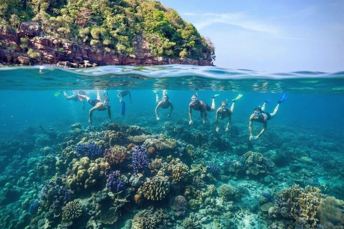 Snorkeling Tour with Sea Food BBQ (Max 12 pax)