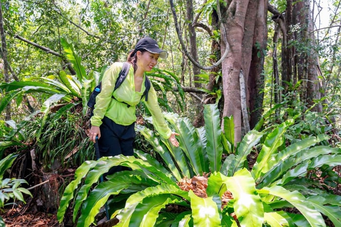 Tien Son Peak Jungle Trek & Local Farm Lunch