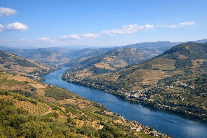Douro Premium — Domaine, dégustation de vins et bateau (8 h)