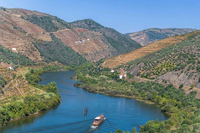 Douro Valley Day Trip with Wine Tasting & Cruise