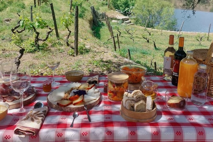 Douro Valley: Quinta do Tedo Wine Experience with Picnic