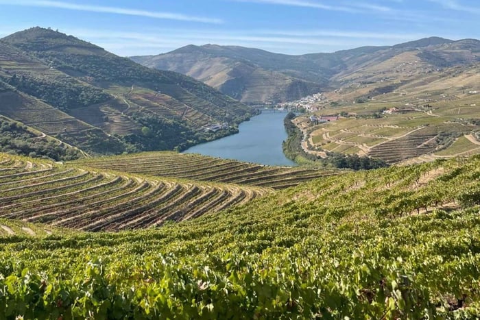 Porto : visite des vins de la vallée du Douro