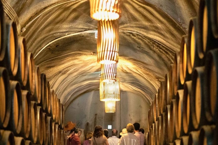 Douro Valley: Winery Tour at Quinta do Tedo and Tastings