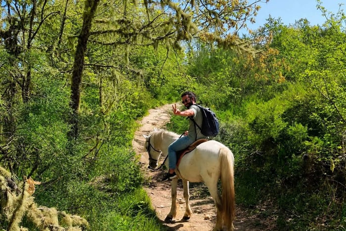 From Porto - Douro Countryside Horse Riding Day Trip & Lunch