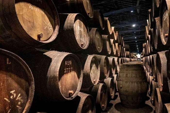Porto: Cruise, Port Wine Cellars, Fado, and Dinner