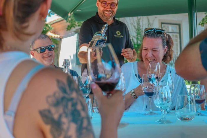 Oporto: tour privado por el valle del Duero, catas, crucero y almuerzo