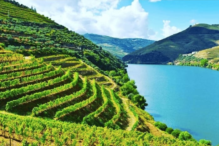 Porto: Tour della Valle del Douro con 3 degustazioni, pranzo e crociera facoltativa. Crociera