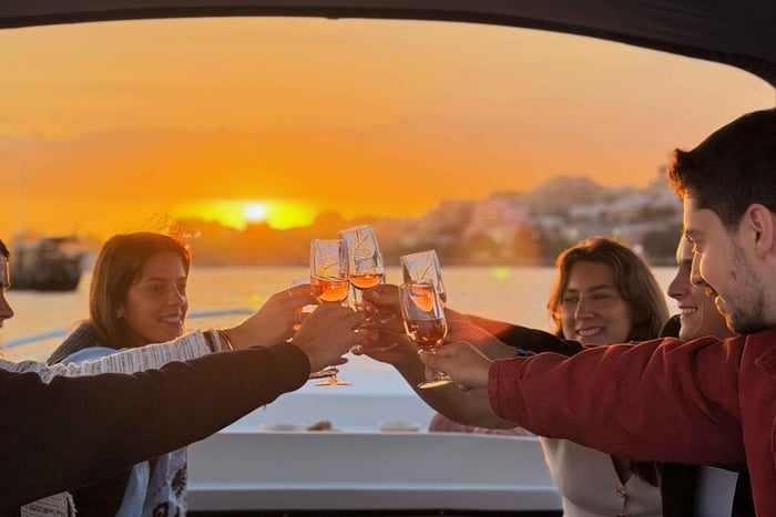 Small-Group Douro Cruise with 3 Wines, Sunset Option