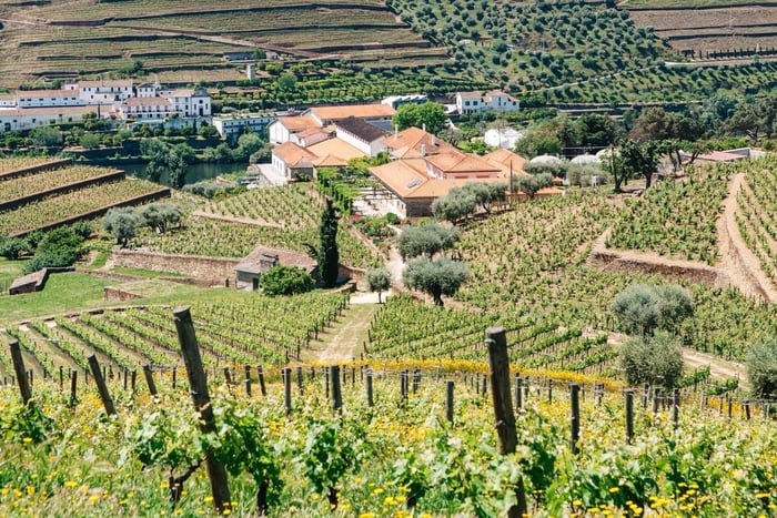 Tour Porto Douro Valley | Viinin rikkaus | ALL INCLUD.