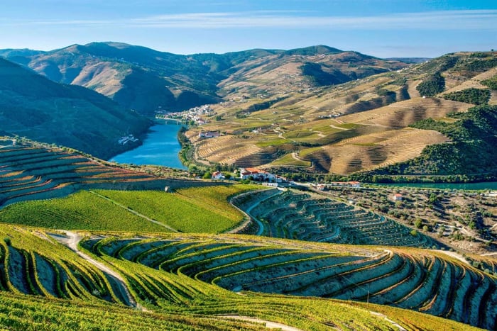 Visite de la vallée de Porto Douro | La richesse du vin | TOUT COMPRIS.