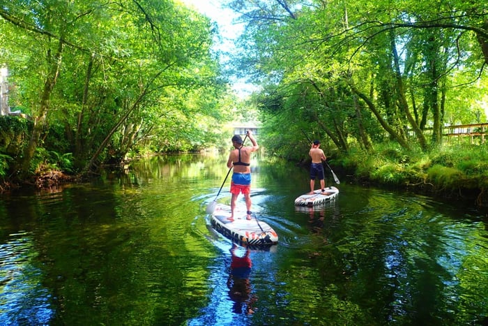 Viana do Castelo: Vez River SUP with Transfer Options
