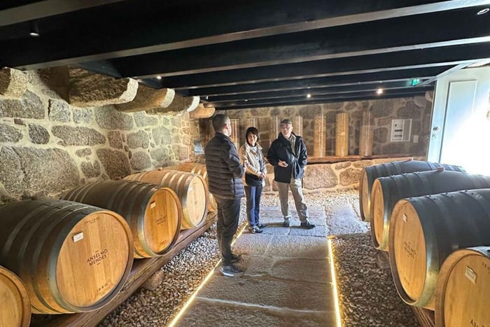 Vinho Verde Region Tour with 2 Wineries & Lunch