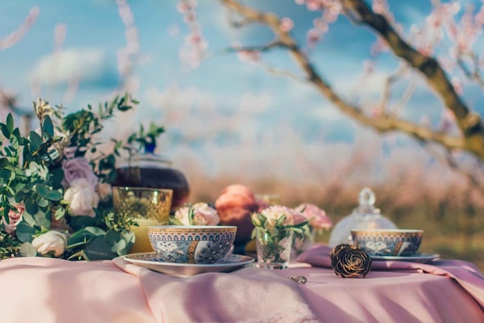 Afternoon Tea at Konopiště Castle: Aristocratic Tradition