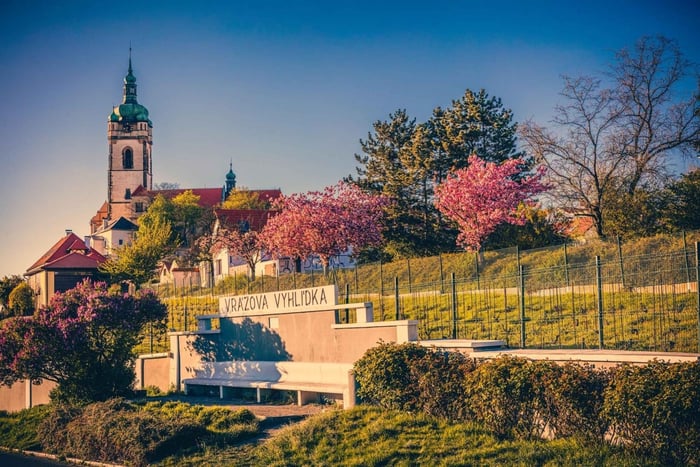 Desde Praga: ruta del vino bohemio con delicias y castillos