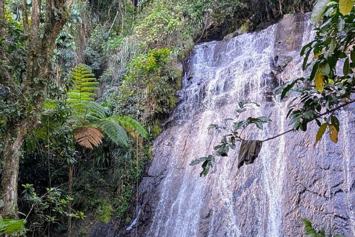El Yunque: Passeio 'Deixe-me mostrar a você a minha ilha'