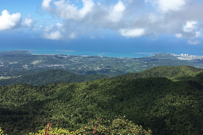 Bosque Nacional El Yunque: tour en autobús EZ-Going (accesible)